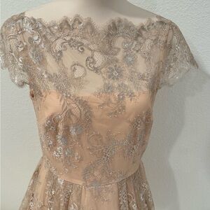 Cynthia Steffe size 6, lace layover, beautiful